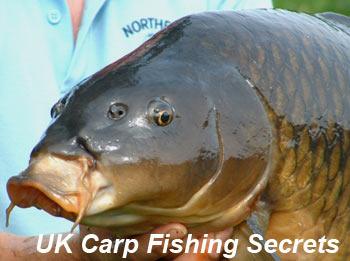 pescuit - ukcfsgrab.jpg